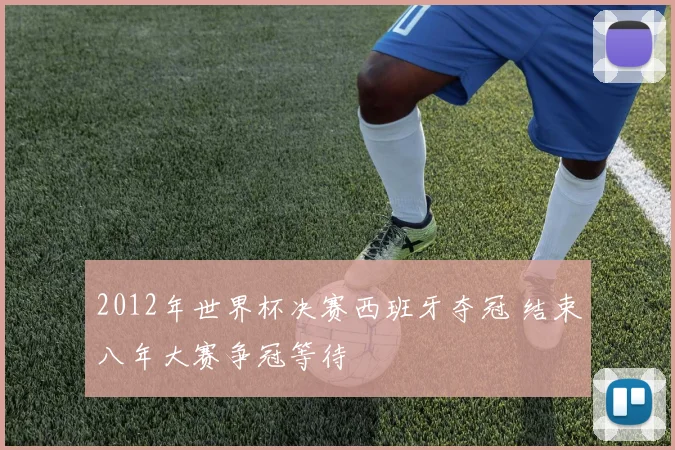 2012年世界杯决赛西班牙夺冠 结束八年大赛争冠等待